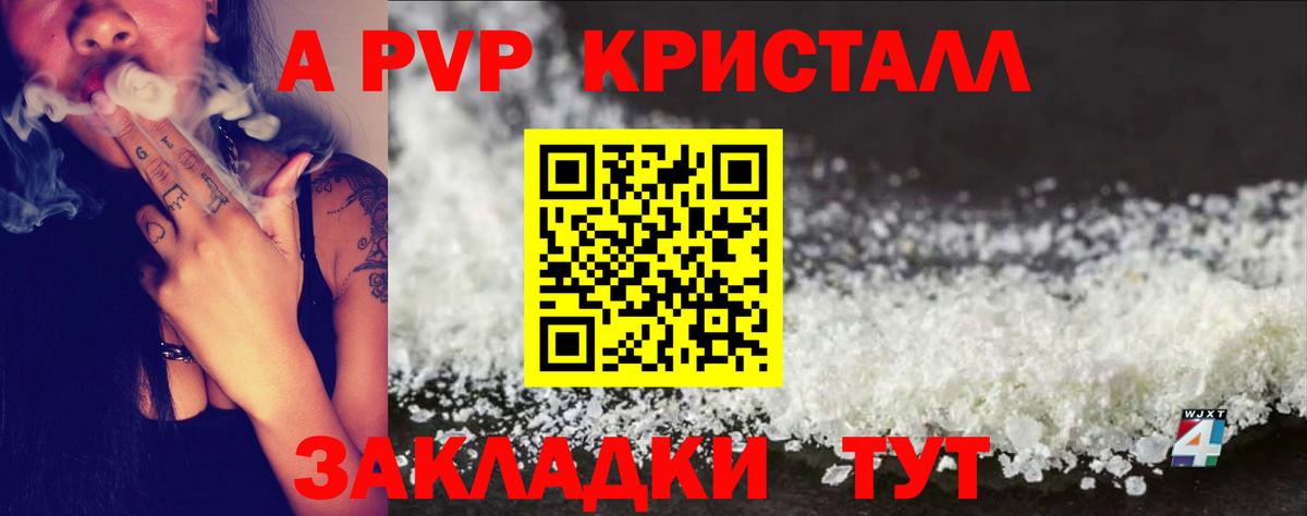A-PVP СК Кондопога