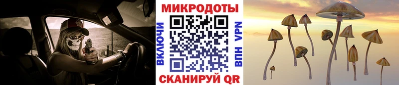 Псилоцибиновые грибы мицелий  Кондопога 
