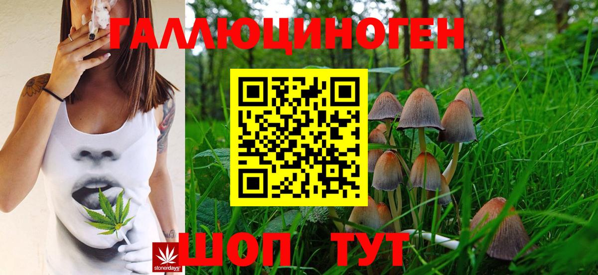 Галлюциногенные грибы мухоморы  Вход с VPN  где можно купить   Кондопога 